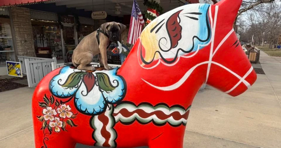 9 Cool and Unusual Things to Do in Lindsborg, Kansas